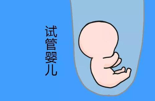 苏雨桐 副主任医师